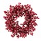 22" Iced Red Hawthorn Berry Wreath Realistic Faux Berries – Festive Décor by Floral Home®